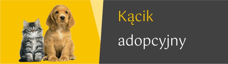 Ikona logo Kącik adopcyjny
