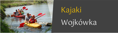 Ikona logo Kajaki Wojkówka